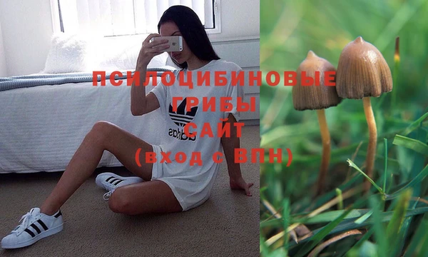 ALPHA-PVP Алексин