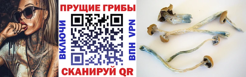 Галлюциногенные грибы ЛСД  цены наркотик  блэк спрут рабочий сайт  Нея 